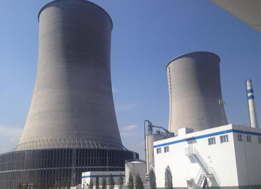 PAKISTAN- Biomass-Fired Power Plant