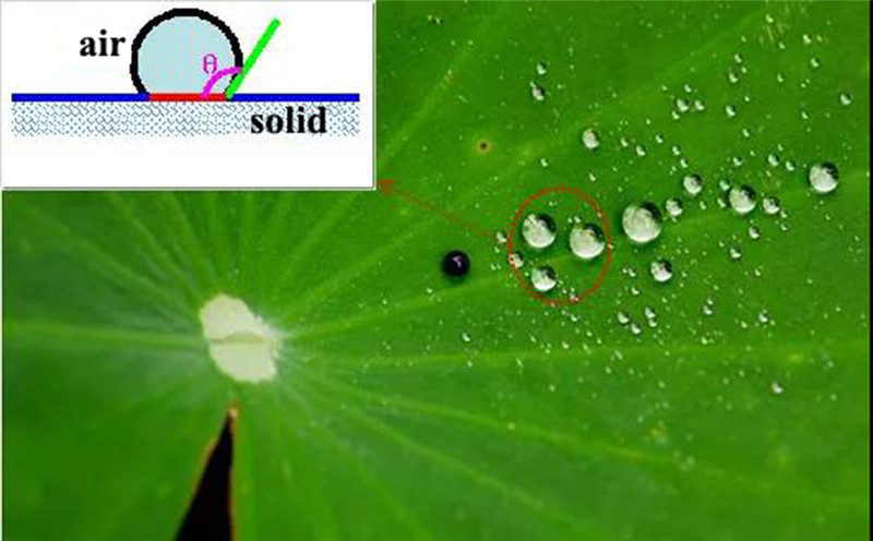 Yuanchen Technology Sharing | Knowledge Encyclopedia of Fluorine-based Water Repellent Agents