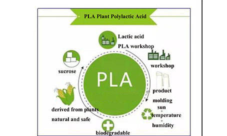 Yuanchen Technology Sharing ｜ Polylactic Acid Preparation Process