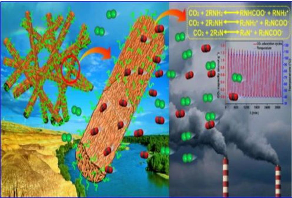 The relationship between membrane and CO2